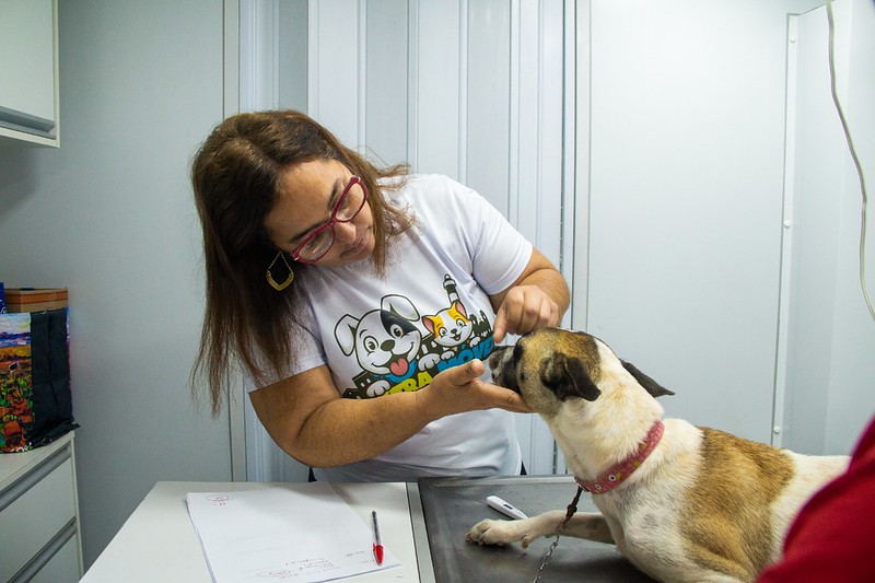 Castramóvel de Olinda estará em Ouro Preto esta semana