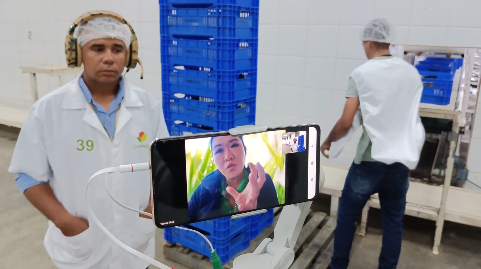 Abertura do mercado chinês para uva brasileira avança com auditoria virtual negociada por Guilherme Coelho