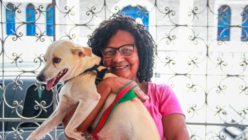 Programa Cabo Amigo Bicho realiza castração e microchipagem em cães e gatos