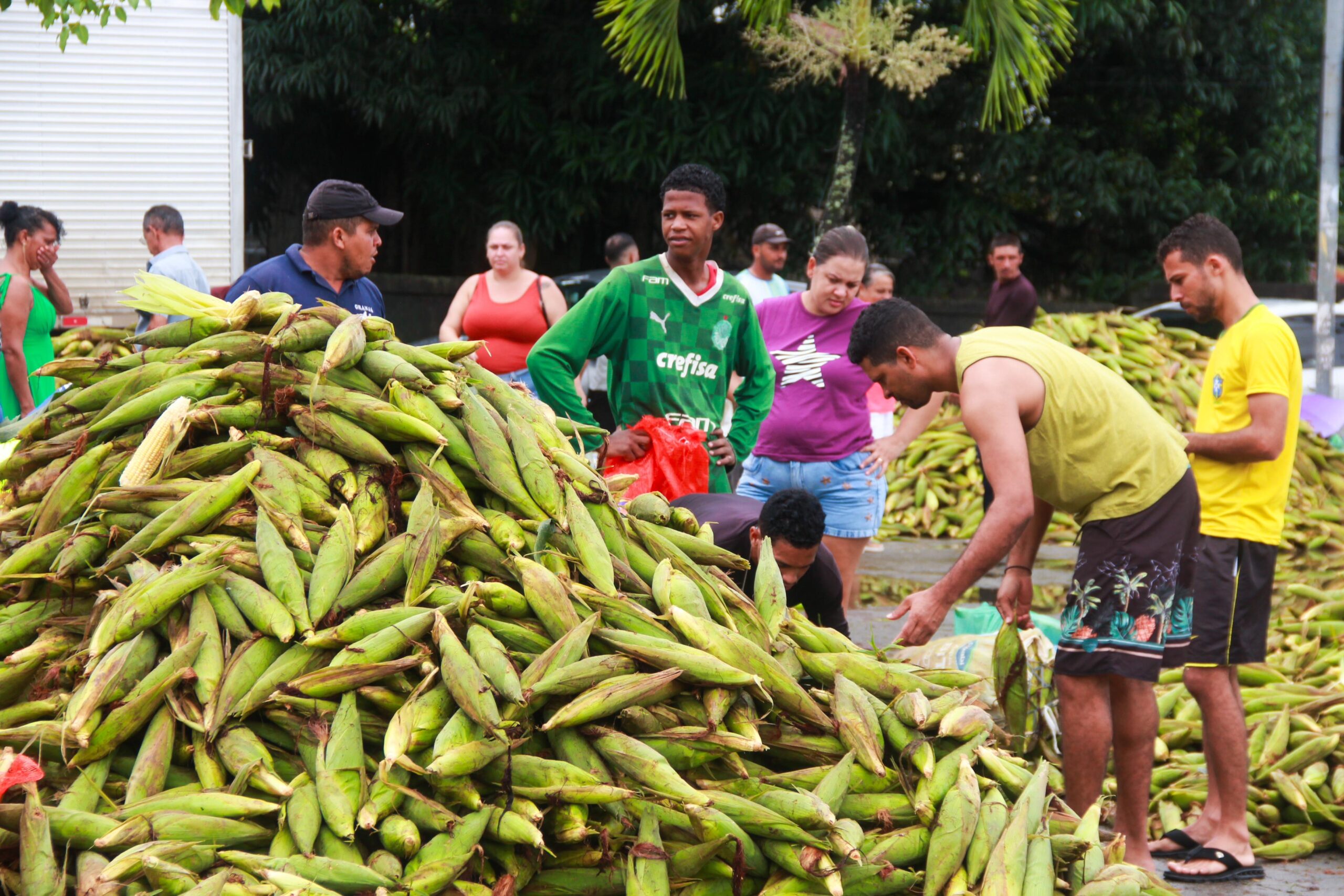 CABO: Feira do milho segue com boas vendas  na véspera de São João