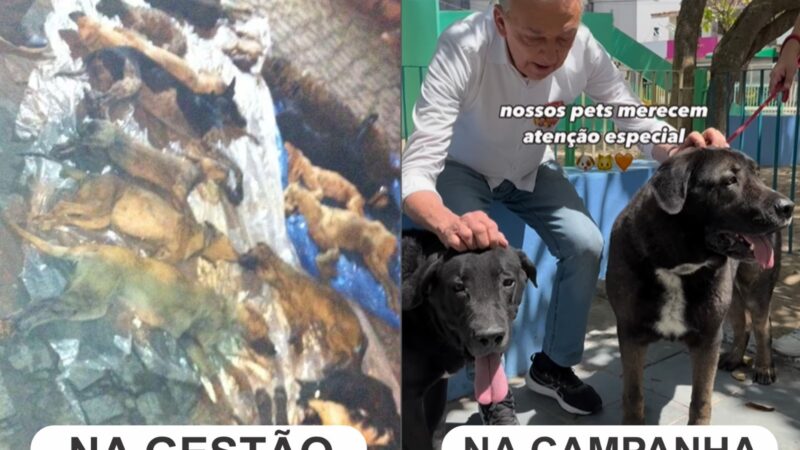 Prefeito no episódio do Massacre de Animais de Caruaru, Zé Queiroz tenta emplacar nova imagem no guia como “amigo” dos pets