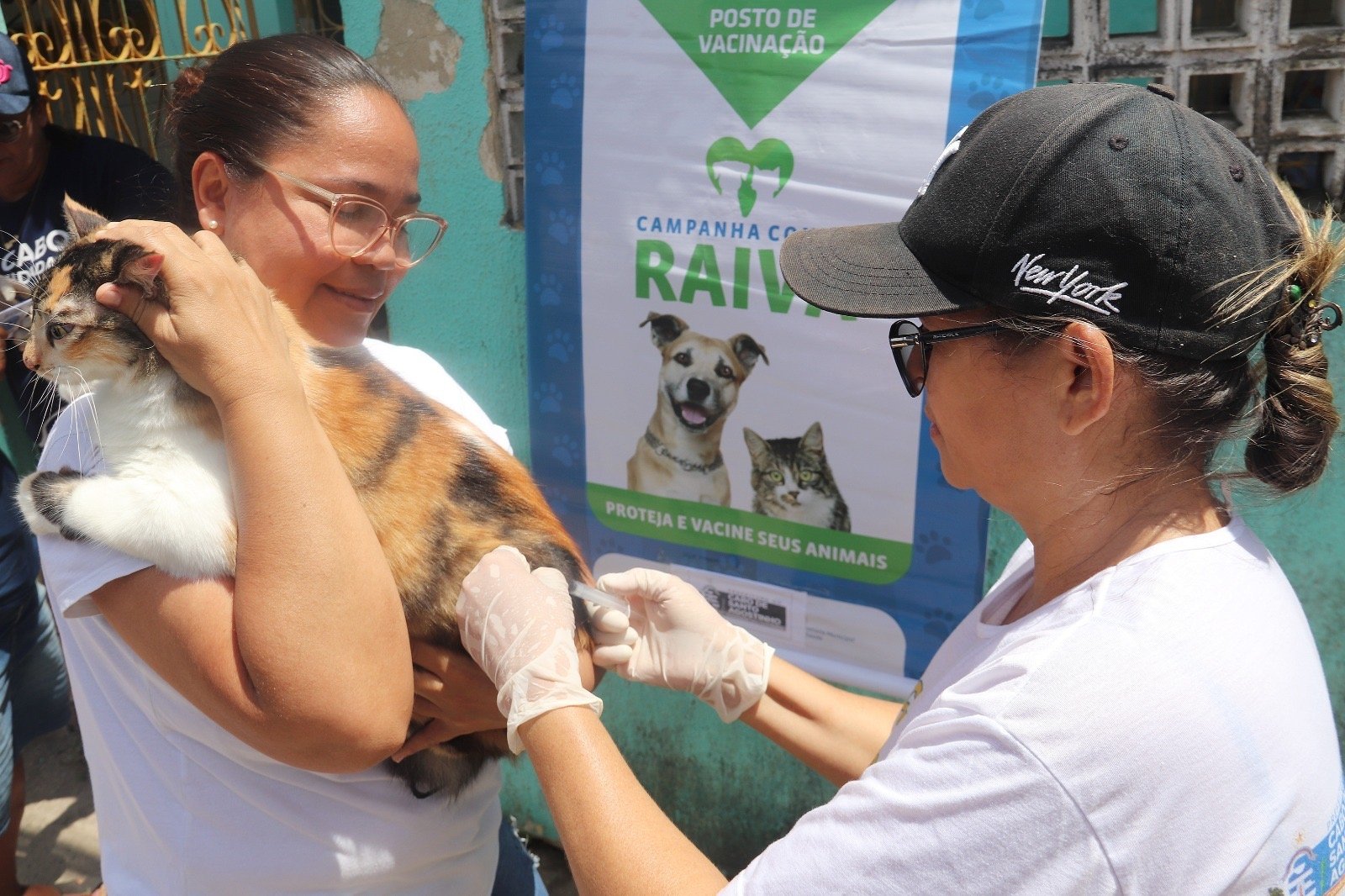 Cabo inicia campanha de vacinação antirrábica na próxima terça-feira (12)
