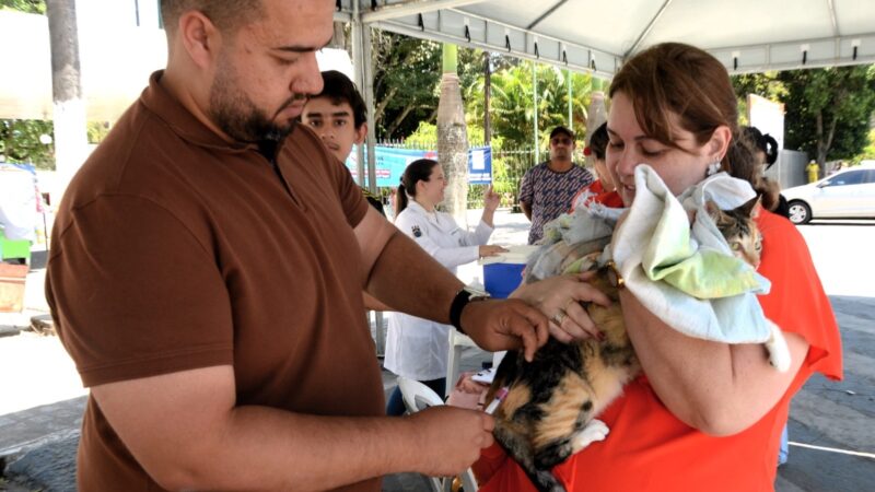 Garanhuns vacina mais de 7 mil animais contra a raiva no Dia D foi