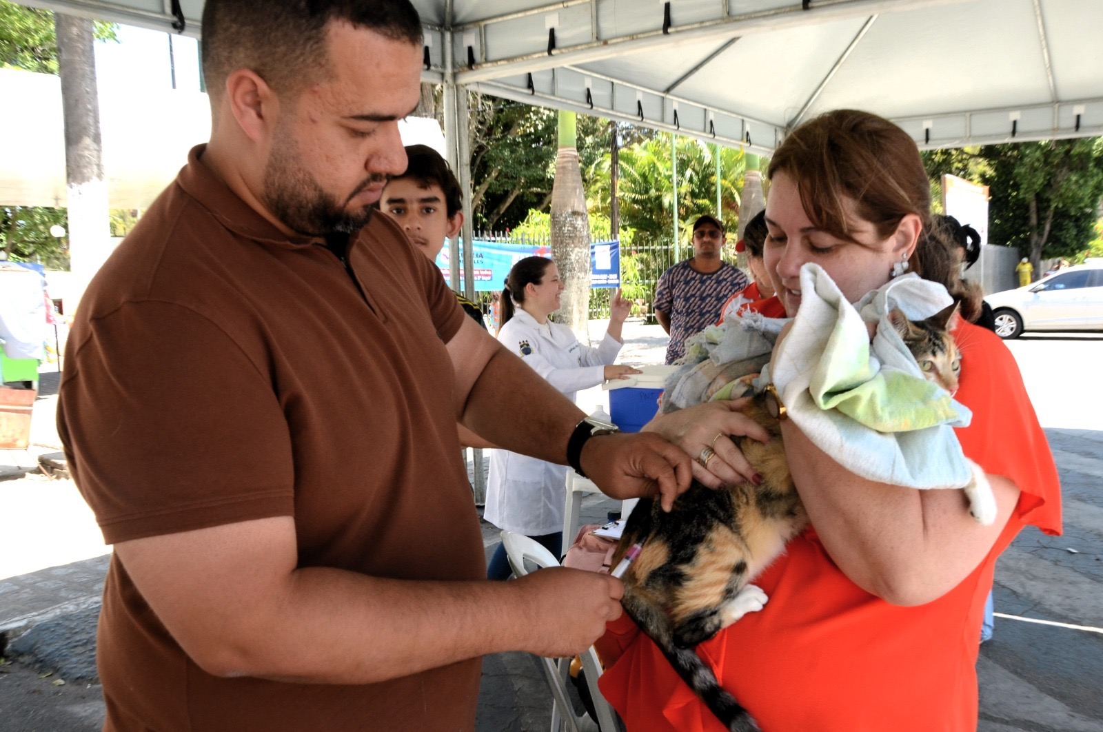 Garanhuns vacina mais de 7 mil animais contra a raiva no Dia D foi