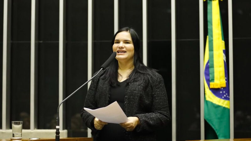 Michele Collins encerra mandato como a vereadora mais atuante do Recife