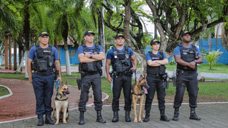 Segurança: cães da Guarda Municipal do Cabo intensificam patrulhamento e apreensões de drogas no município