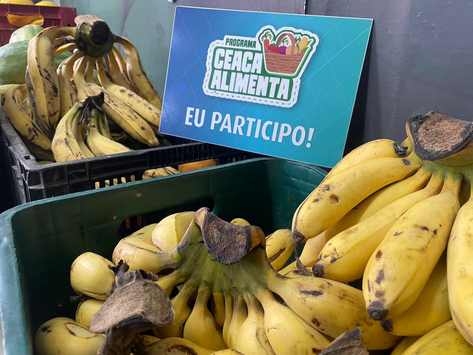 Ceaca Alimenta arrecadou mais de uma tonelada de alimentos no mês de janeiro