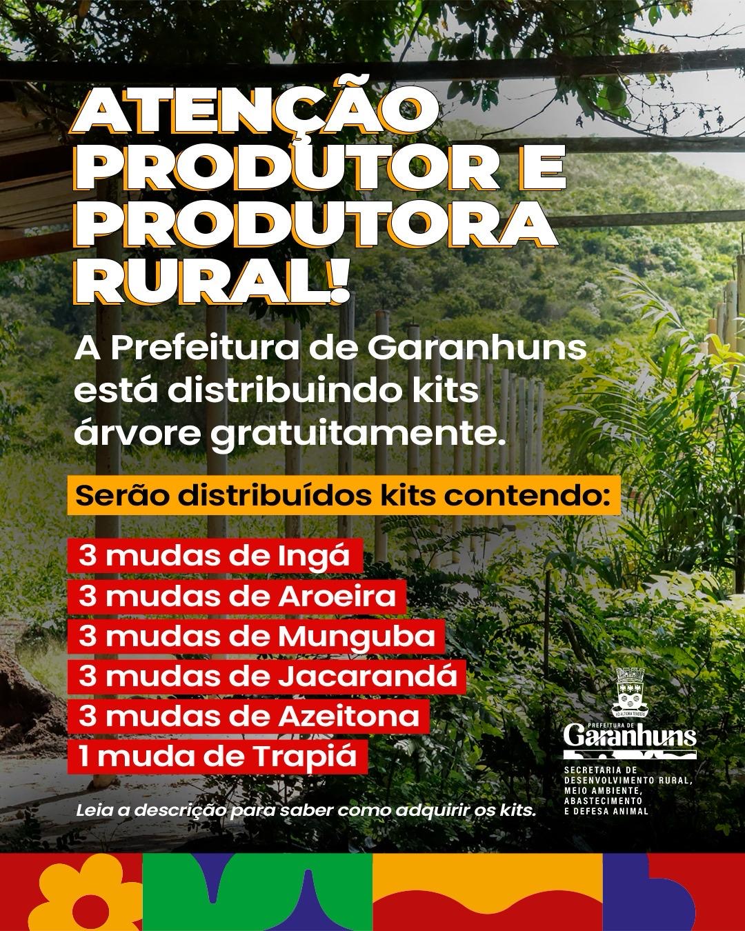 Prefeitura de Garanhuns distribui kits de mudas de árvores gratuitamente para produtores rurais