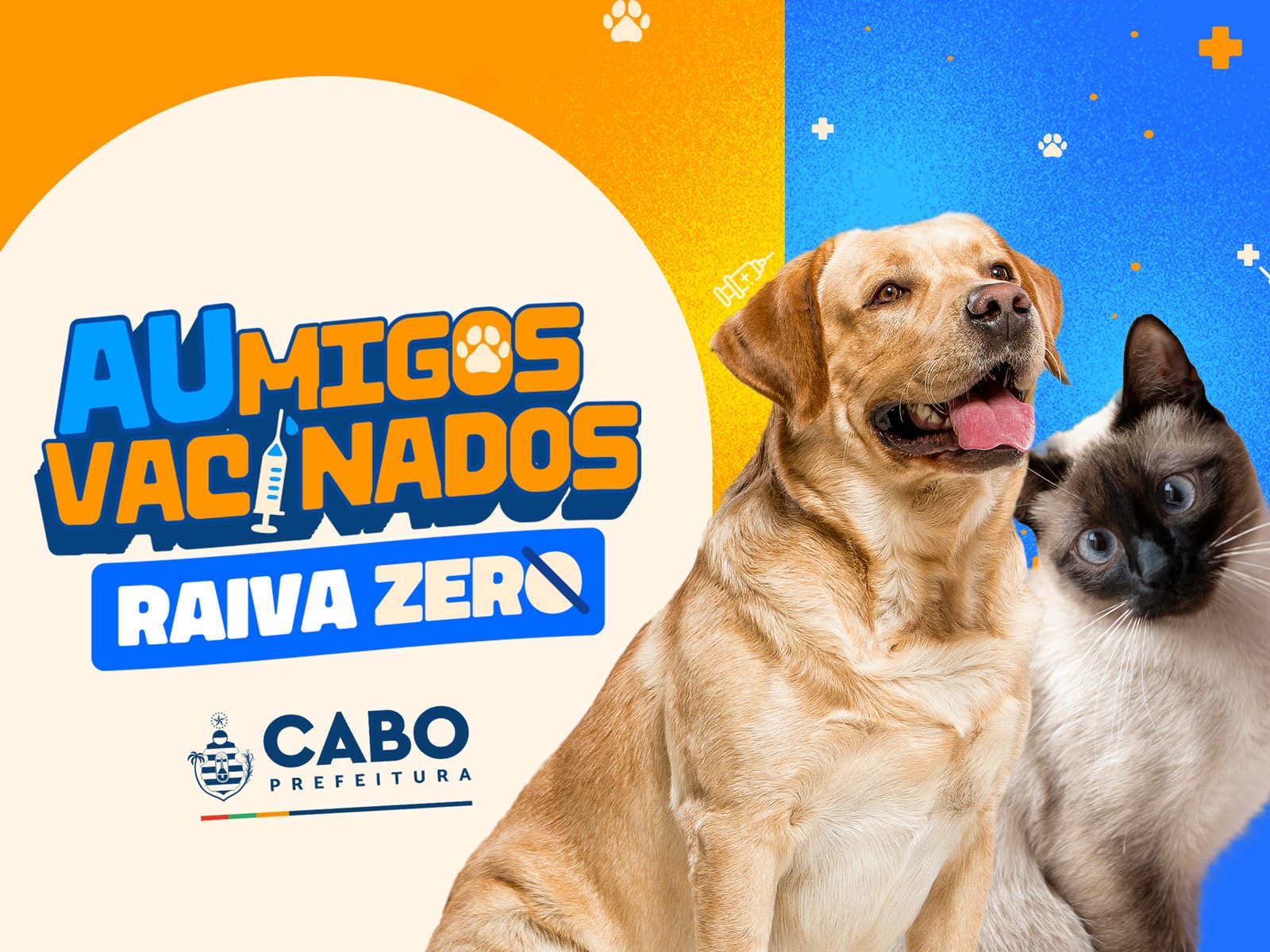 Prefeitura do Cabo   vai realizar campanha de vacinação antirrábica para cães e gatos