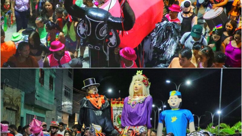 CICLO CARNAVALESCO DE ARCOVERDE MANTÉM VIVA A TRADIÇÃO CULTURAL DA FOLIA DOS BOIS, NO CENTRO E BAIRROS DA CIDADE.