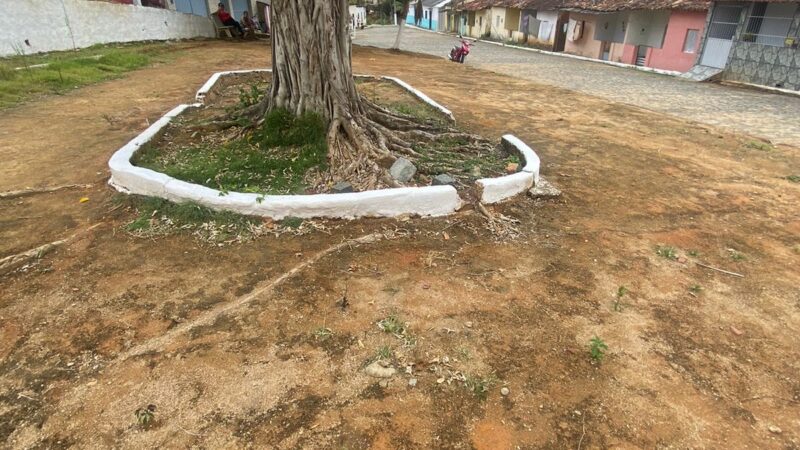 Em Jaqueira praça é abandonada pela gestão Ridete Pellegrino