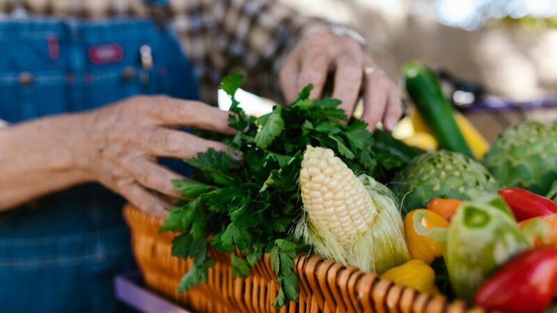 Prefeitura de Araripina lança programa Chega Junto Rural para levar serviços diretos aos agricultores do município