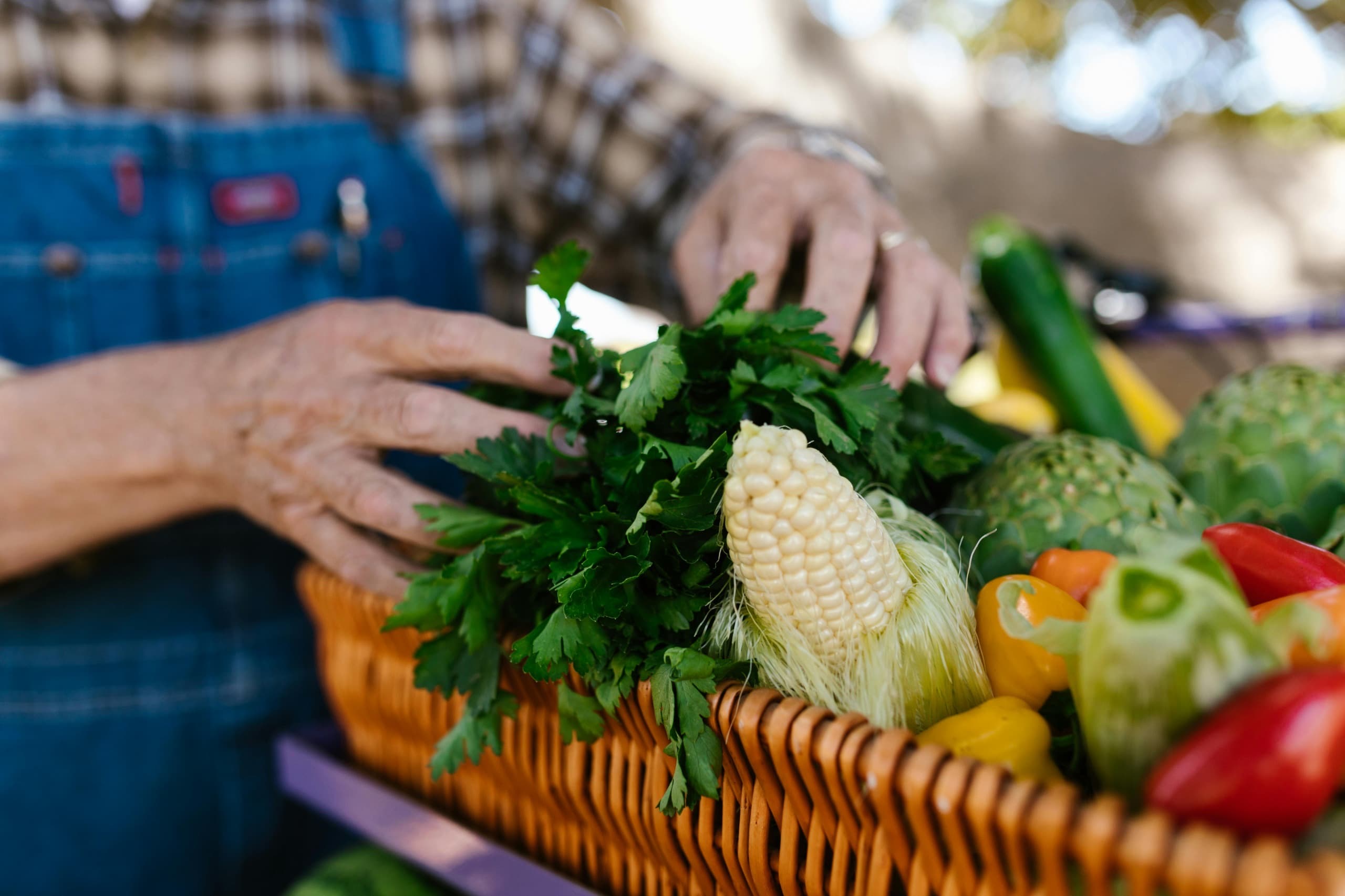 Prefeitura de Araripina lança programa Chega Junto Rural para levar serviços diretos aos agricultores do município