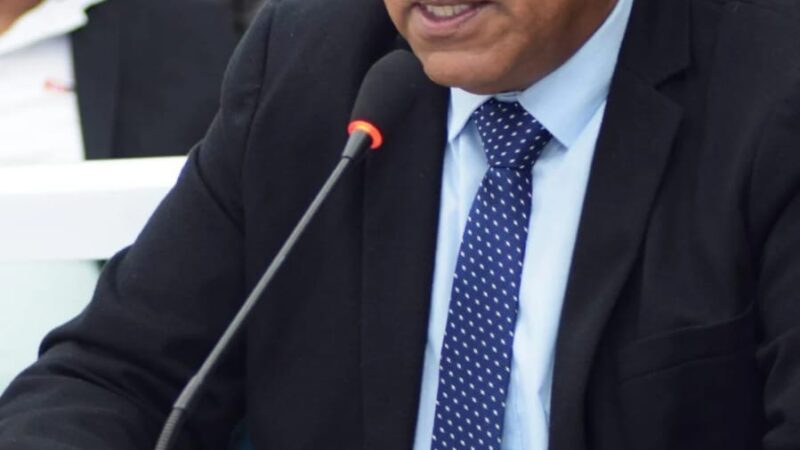 Palmares: Vereador Cláudio Sales solicita ao ministério público que notifique as entidades que costumam usar fogos de artifícios com estampidos altos, em favor da lei 17195/2021 que proíbe essa prática no estado de PE