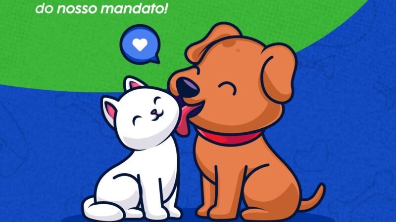 Consultas e exames gratuitos para cães e gatos já começaram graças a emenda do Deputado Jeferson Timóteo