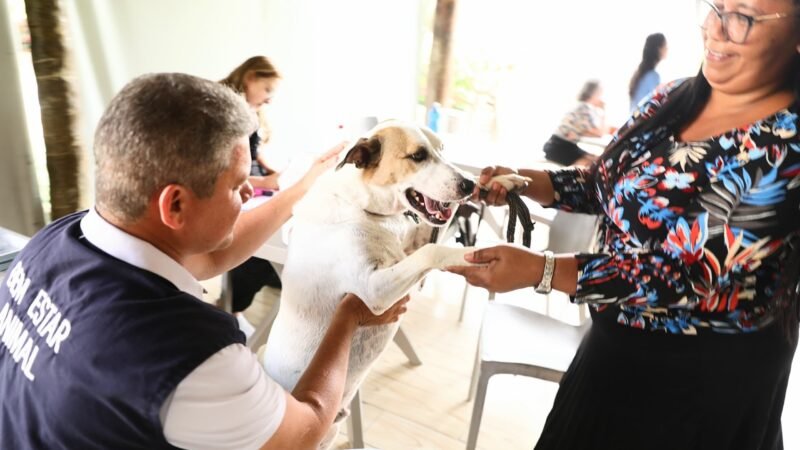 Prefeitura do Jaboatão dos Guararapes reativa canal de denúncias de maus-tratos a pequenos animais