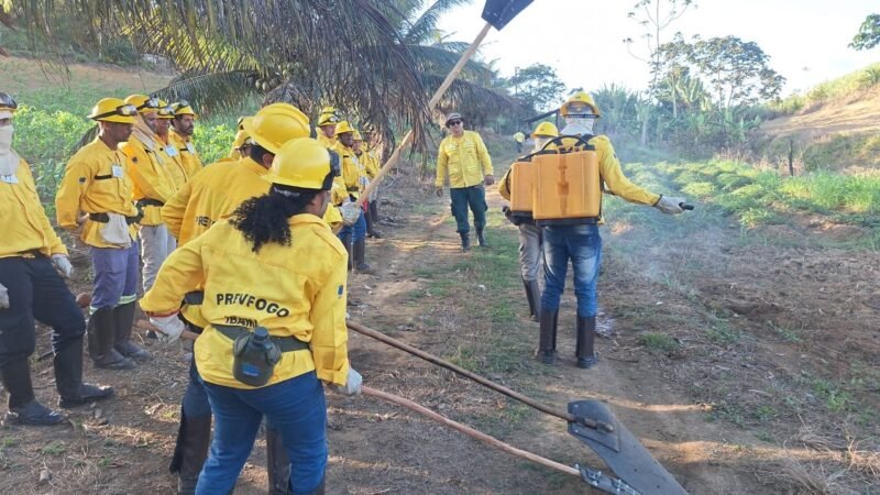 Jaboatão promove treinamento sobre prevenção e combate a incêndios florestais