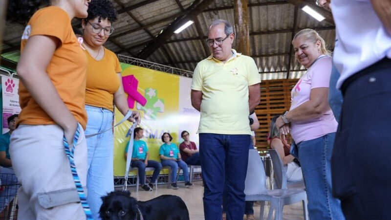 Outubro Pet Rosa leva serviços e cuidados para cães e gatos em Jaboatão
