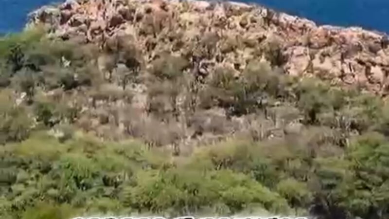 Belém do São Francisco vai sediar o maior torneio de pesca esportiva do vale do Itaparica