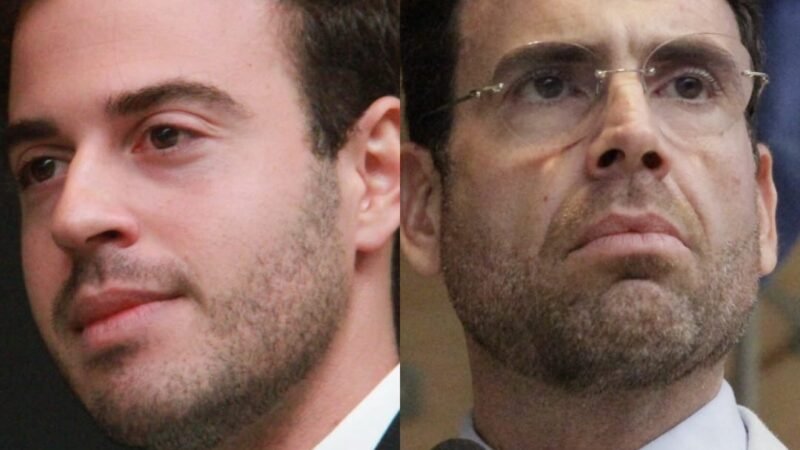 Gilson Machado Filho e Eduardo Moura promovem audiência pública sobre proteção animal no Recife