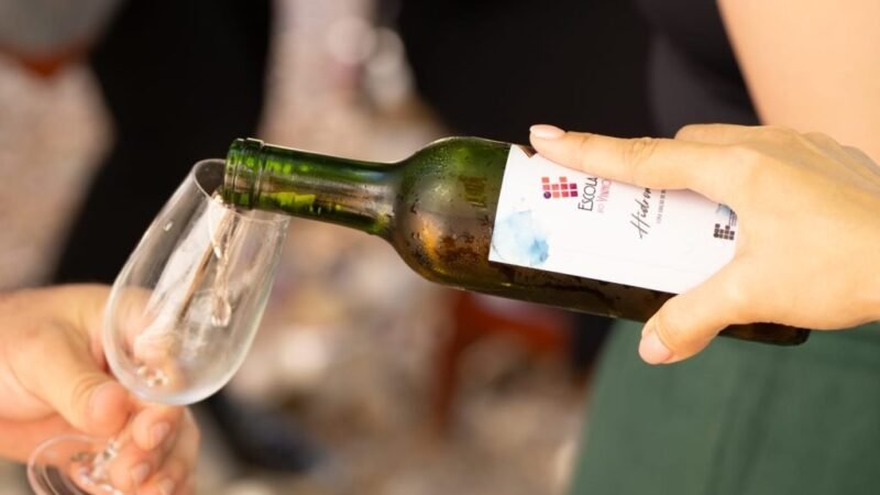 Programação técnica da Vinhuvafest 2025 reúne especialistas no segmento da vitivinicultura e cadeias produtivas da segunda maior região vitivinícola do Brasil 