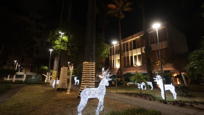 Prefeitura de Caruaru usa recurso exclusivo previsto na COSIP e entrega a maior decoração natalina da históriaBom