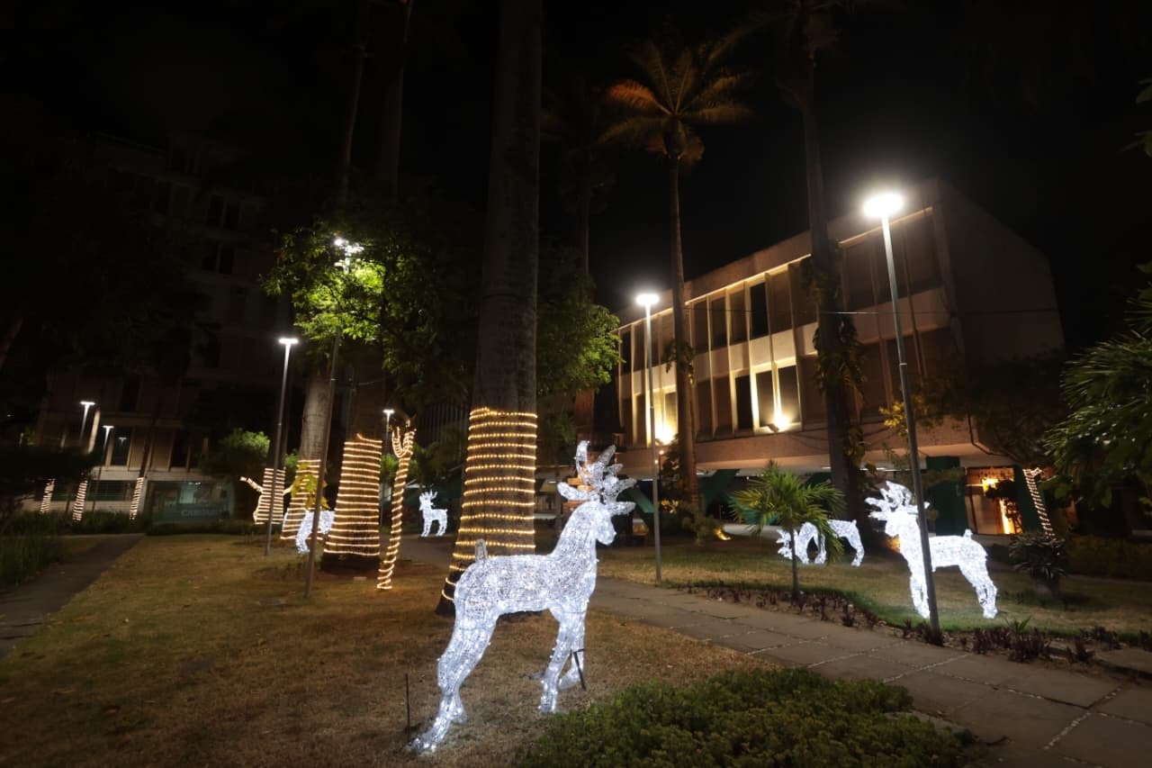 Prefeitura de Caruaru usa recurso exclusivo previsto na COSIP e entrega a maior decoração natalina da históriaBom