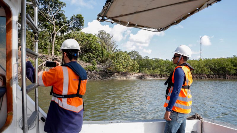 CPRH descarta mortes de cavalos-marinhos e tartarugas em consequência da obra de dragagem em Suape