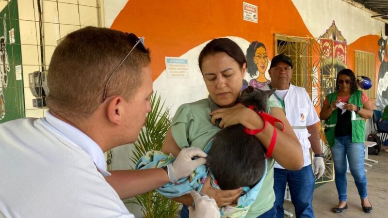 Prefeitura de Caruaru vacina mais de 10 mil animais no primeiro dia da Campanha Antirrábica 2025