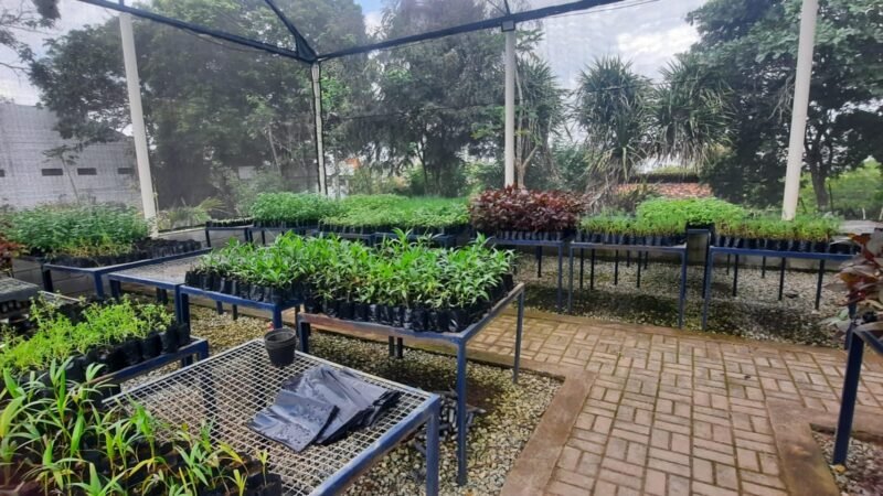 Secretaria de Sustentabilidade e Bem Estar Animal de Caruaru fecha primeiro ano com resultados expressivos e projeta ampliação das ações para 2026