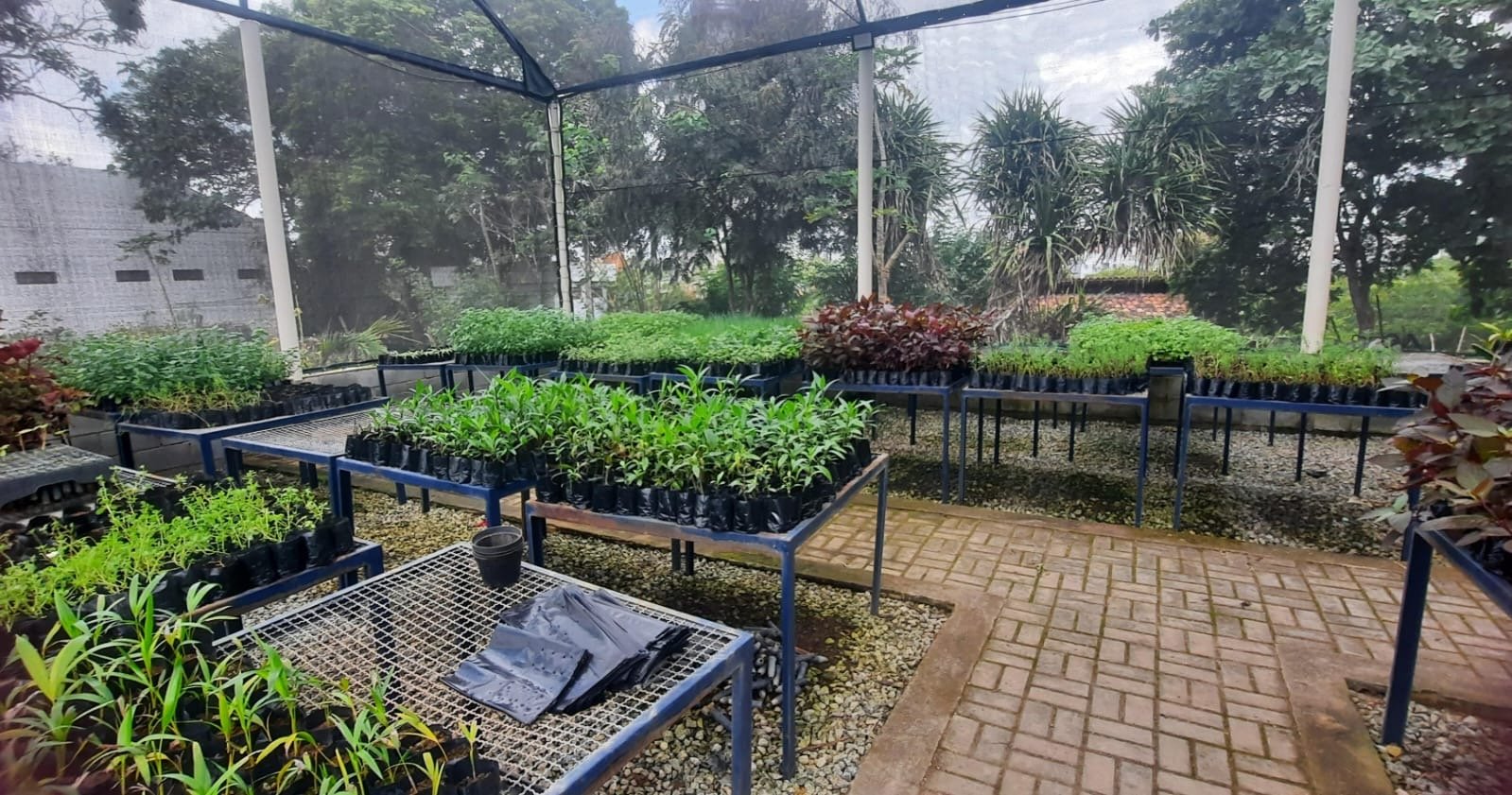 Secretaria de Sustentabilidade e Bem Estar Animal de Caruaru fecha primeiro ano com resultados expressivos e projeta ampliação das ações para 2026