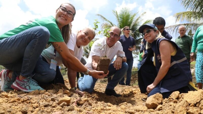 Agricultores do Jaboatão dos Guararapes recebem doação de 500 mudas de plantas frutíferas