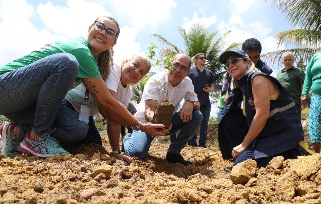 Agricultores do Jaboatão dos Guararapes recebem doação de 500 mudas de plantas frutíferas