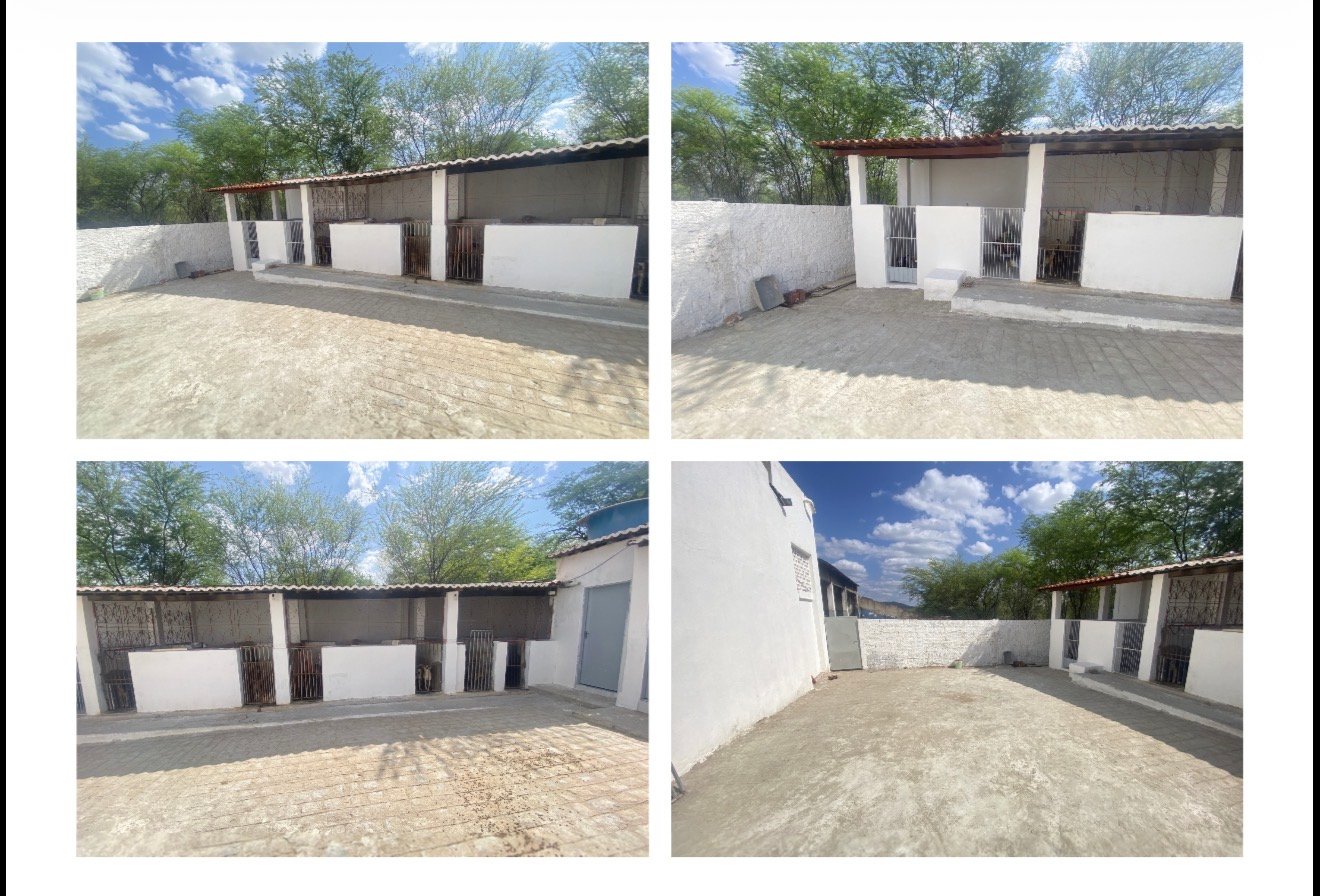 A Prefeitura Municipal de Sertânia vem a público prestar esclarecimentos sobre o Canil Municipal