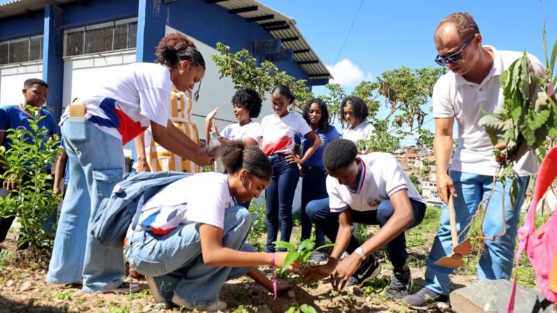 Estudantes de colégio de tempo integral transformam escola em espaço de educação ambiental e agroflorestamento