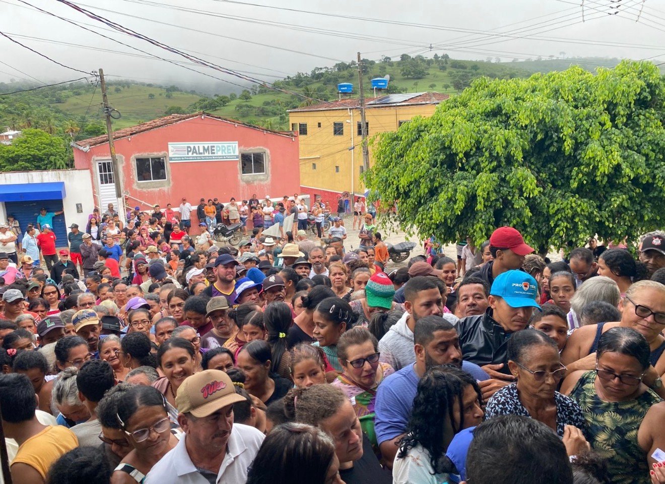 Prefeitura de Palmeirina realiza distribuição de peixes na Semana Santa