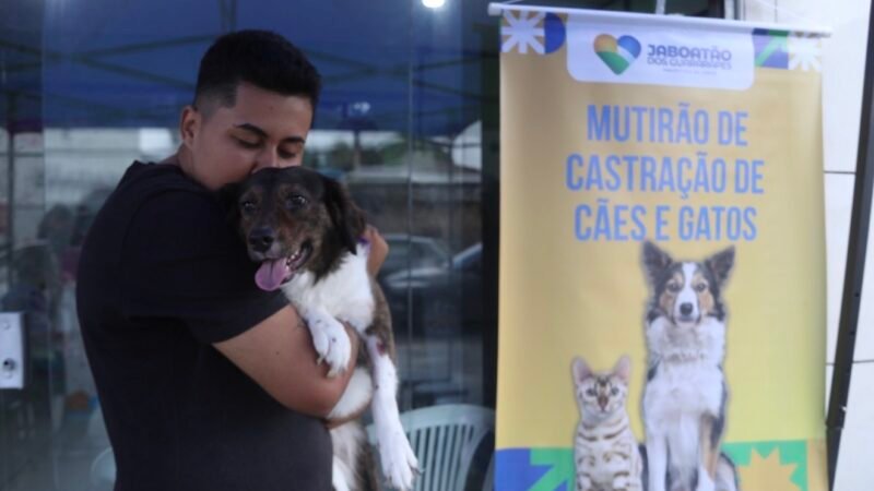 Prefeitura do Jaboatão amplia rede de bem-estar animal com mutirão de castração gratuita para cães e gatos