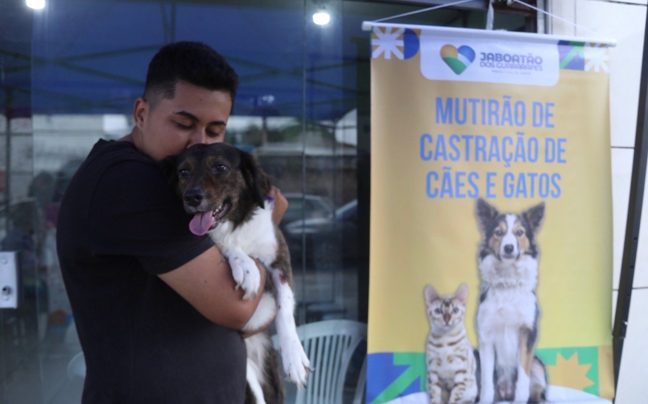 Prefeitura do Jaboatão amplia rede de bem-estar animal com mutirão de castração gratuita para cães e gatos