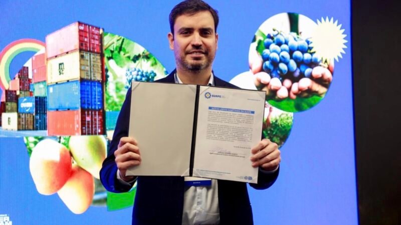 Suape reforça estratégia para o agro e aposta em inteligência marítima para ampliar exportações