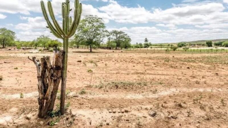 Ouricuri sedia oficina estadual para discutir estratégias contra mudanças climáticas