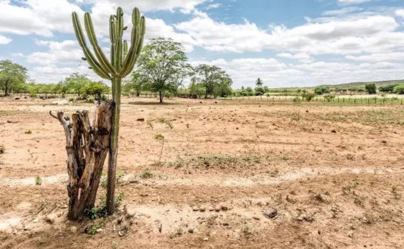 Ouricuri sedia oficina estadual para discutir estratégias contra mudanças climáticas