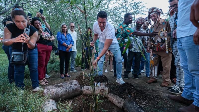 Prefeitura de Caruaru realiza plantio de taboca para fortalecer a cultura do pífano e a preservação ambiental