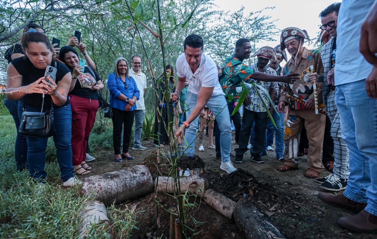 Prefeitura de Caruaru realiza plantio de taboca para fortalecer a cultura do pífano e a preservação ambiental