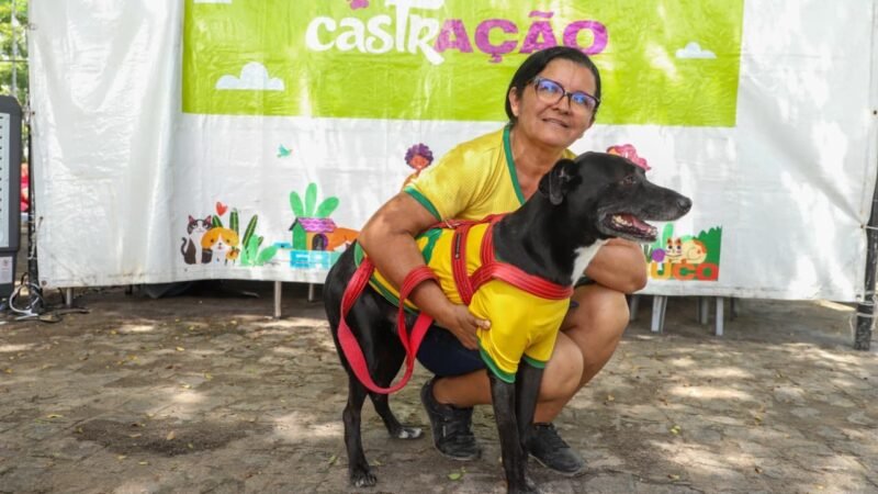Programa de castração animal avança na Região Metropolitana e no Agreste com agendas em Igarassu e Garanhuns