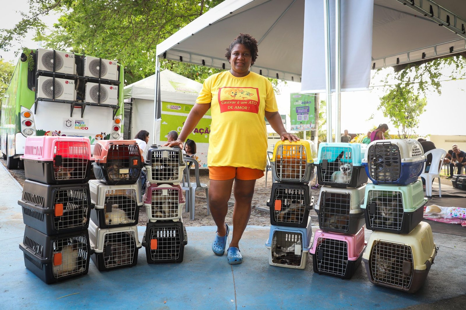 Programa estadual de castração supera 15 mil atendimentos e chega ao Recife