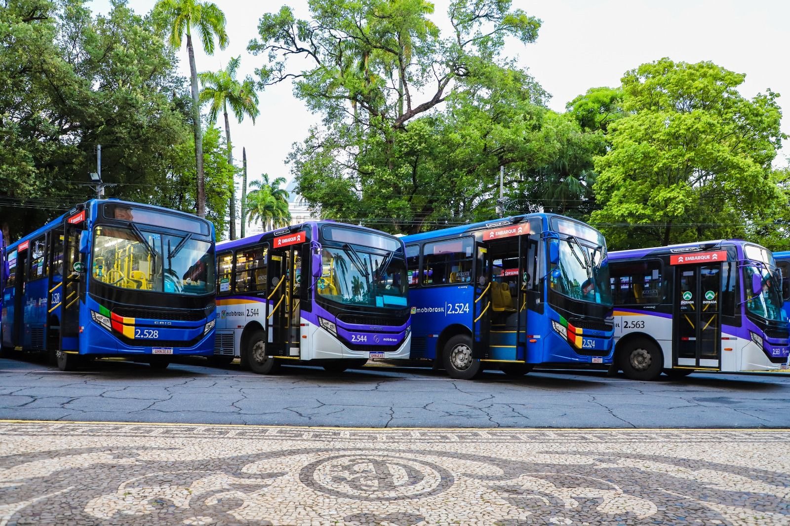 Governo de Pernambuco lança edital para aquisição de 100 ônibus elétricos para a Região Metropolitana do Recife