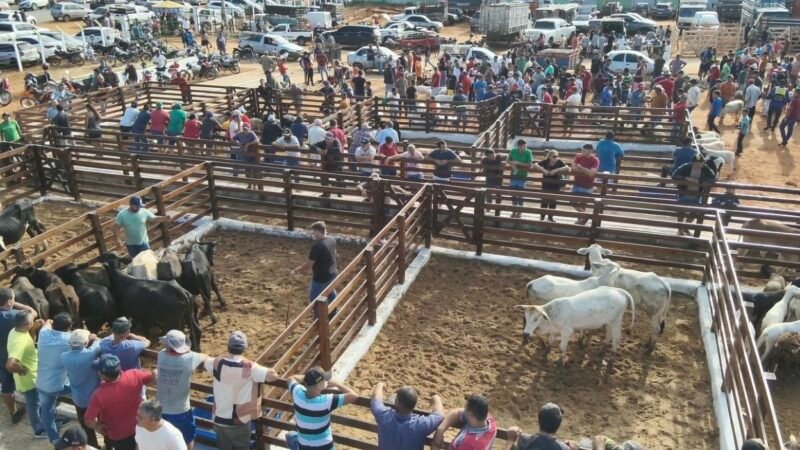 Estreia com sucesso: 1ª Feira de Gado de Toritama movimenta a economia local e atrai grande público nesta quarta
