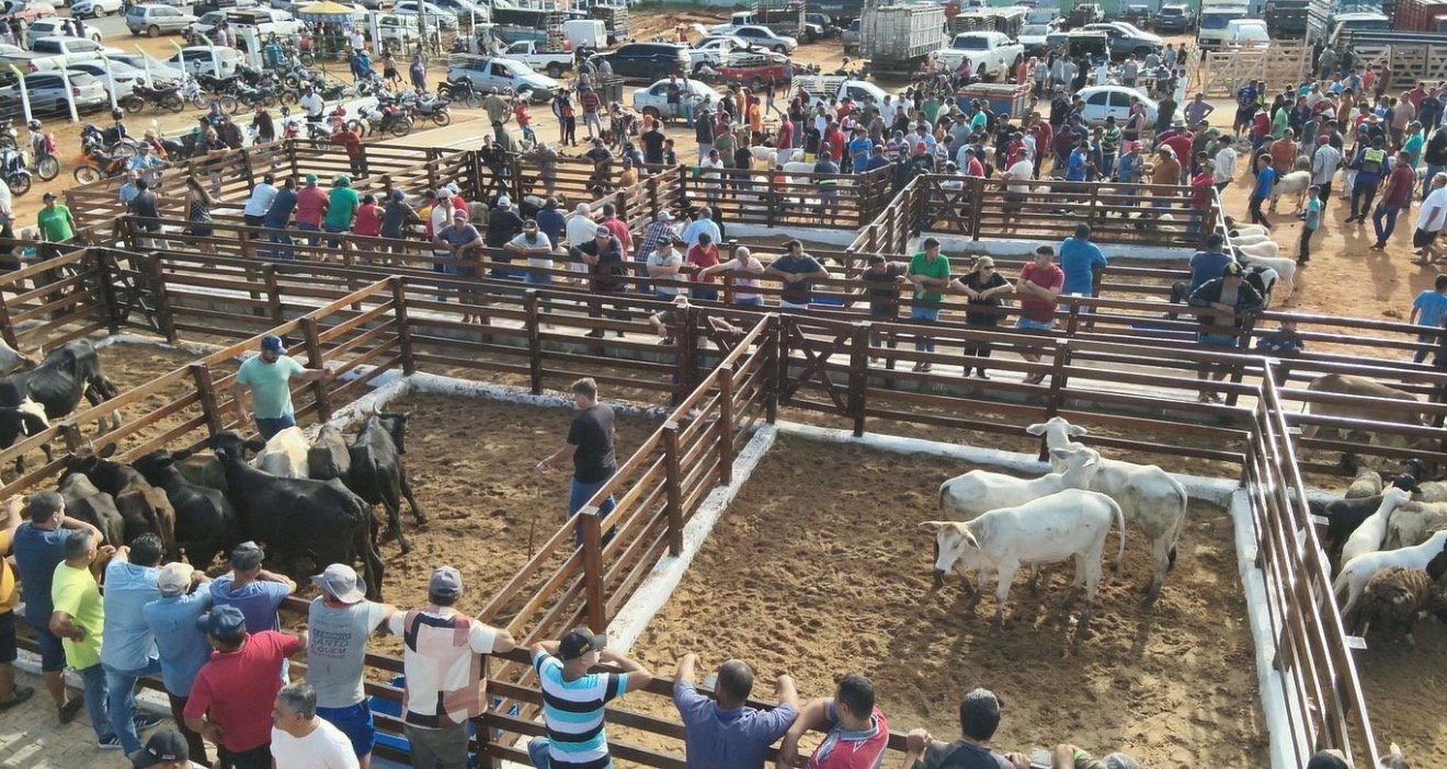 Estreia com sucesso: 1ª Feira de Gado de Toritama movimenta a economia local e atrai grande público nesta quarta