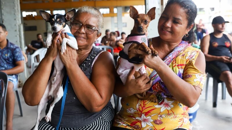 Programa estadual de castração de cães e gatos prorroga atendimentos no Recife