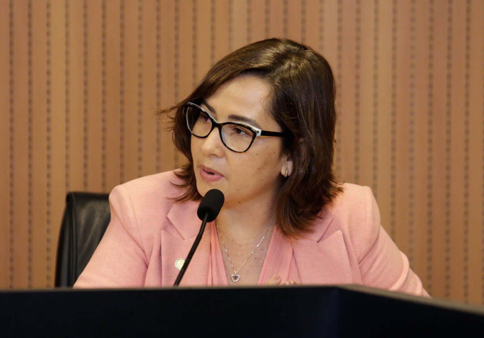 “Sempre dissemos que a CPI não tinha fundamento”, afirma Débora Almeida após arquivamento